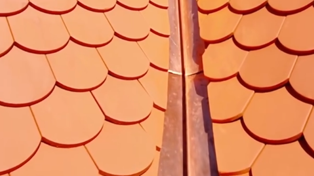 Dachdetail mit Biberschwanzziegeln von Jacobi